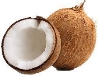 Fresh Coconut, Each, 1 Count - Walmart.com